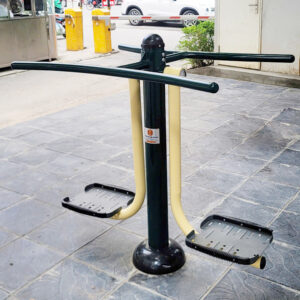 Thiết bị tập lắc eo đôi ngoài trời PPT-001